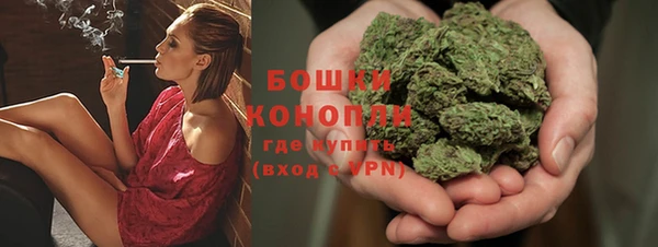 индика Магадан