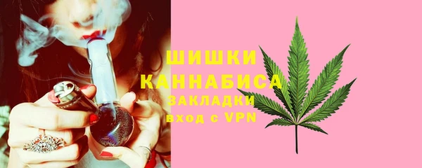 индика Магадан