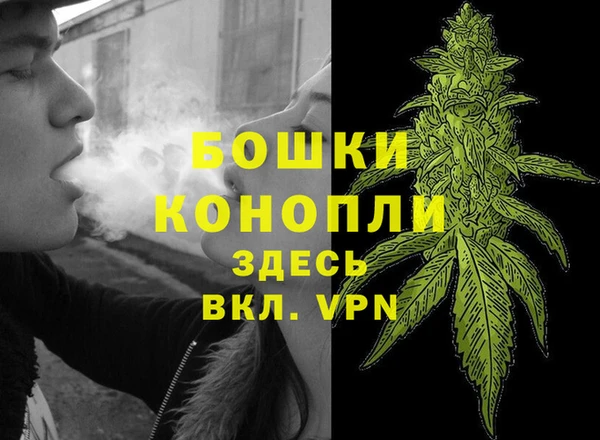 спиды Магас
