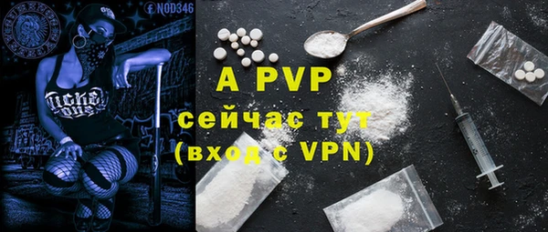 индика Магадан