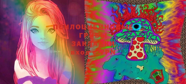 спиды Магас