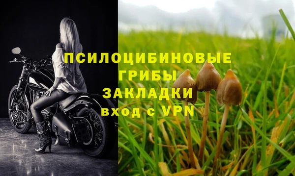 гидропоника Майский
