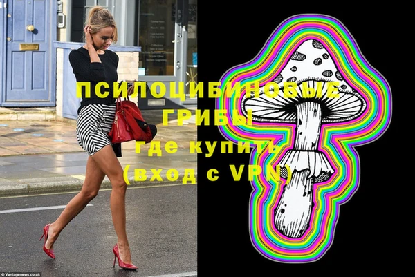 индика Магадан