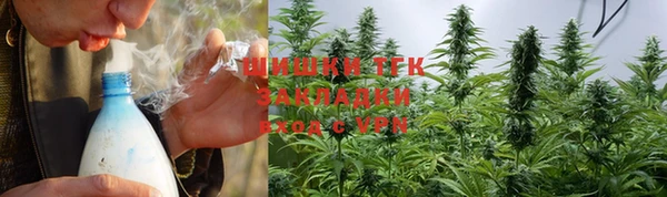 индика Магадан