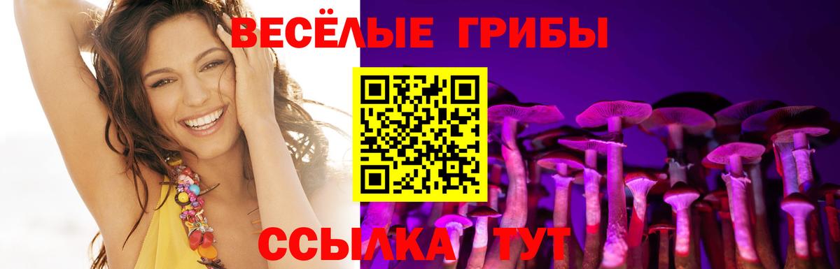 Узловая  Псилоцибиновые грибы Cubensis  Вход с VPN  Галлюциногенные грибы прущие грибы 